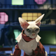 Image: Still from the Expanse Season One Recat, Syfy